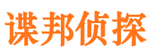 梅里斯市侦探公司